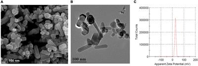 Zinc Oxide Nanoparticles Prime a Protective Immune Response in Galleria mellonella to Defend Against Candida albicans